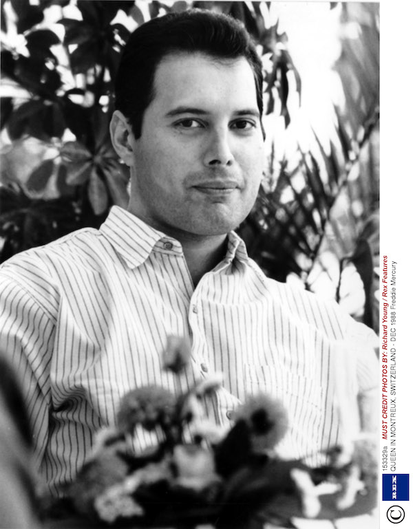 freddie-mercury-and-queen-Freddie_Mercury_e_i_Queen13.jpg