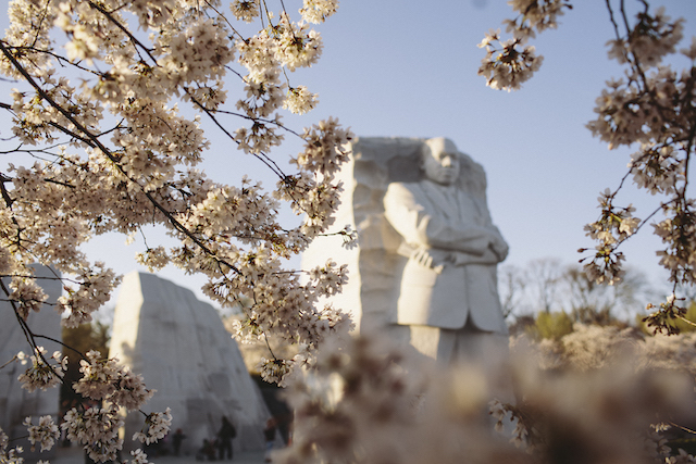 washington.-city's-rate-of-technology-to-wealth-MLK_Jr_Memorial_with_Cherry_Blossoms_courtesy_of_washington.org.jpg
