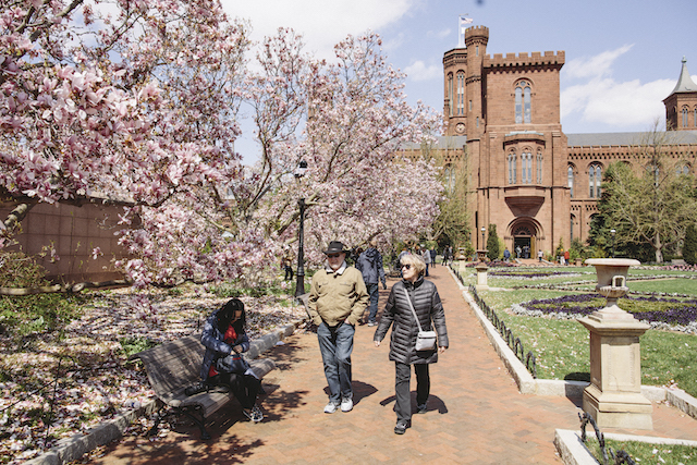 washington.-city's-rate-of-technology-to-wealth-Smithsonian_Castle_with_Cherry_Blossoms_courtesy_of_washington.org.jpg