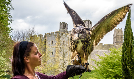 arundel-castle-13-02-2018-151852800103_Normans_and_Crusaders_at_Arundel_Castle_Photo_Credit_Julia_Claxton.7a35611885f4a68cc590add7febb6e49.jpg