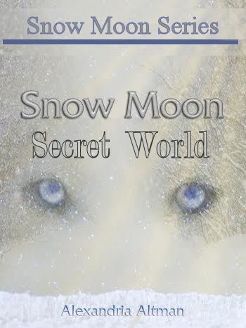Movie Snow Moon: Secret World