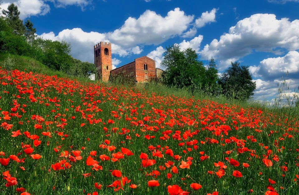 san-miniato--tuscany--italy-29342844_2009474712643885_8498487690226827264_n.jpg