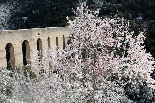 spoleto-city-of-italy-IMG_7773_ok.jpg
