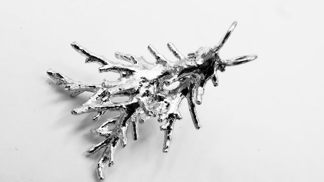 reefined-arts-64461E05-A396-4B4D-A76F-435C5E27D471.jpeg