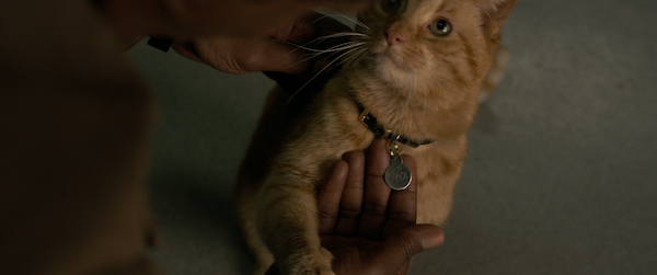 movie-captain-marvel-PPA1100_TRLcmp_v902.1029.jpg