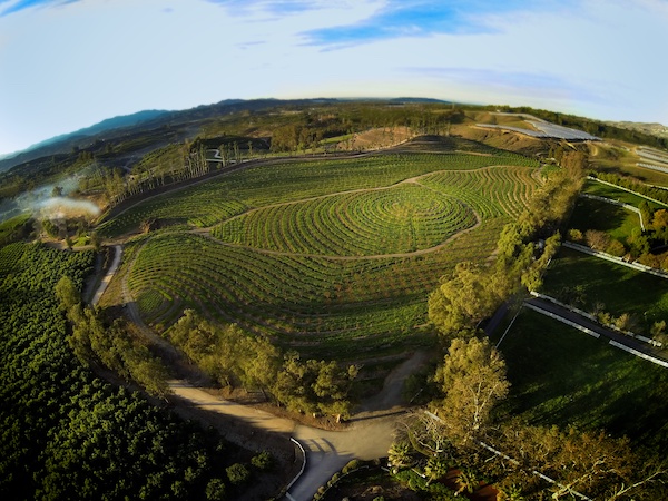 movie-biggest-little-farm-biggest-little-farm-Apricot_Lane_Farms_in_THE_BIGGEST_LITTLE_FARM._Courtesy_of_NEON_rgb.jpg