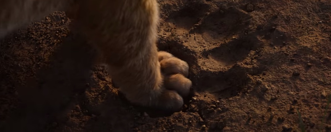 movie-the-lion-king-_Seth_Rogen,_Donald_Glover,_Shahadi_Wright_Joseph_the_lion_king5.jpeg