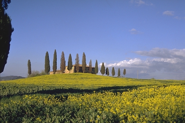 The Val d’Orcia Park