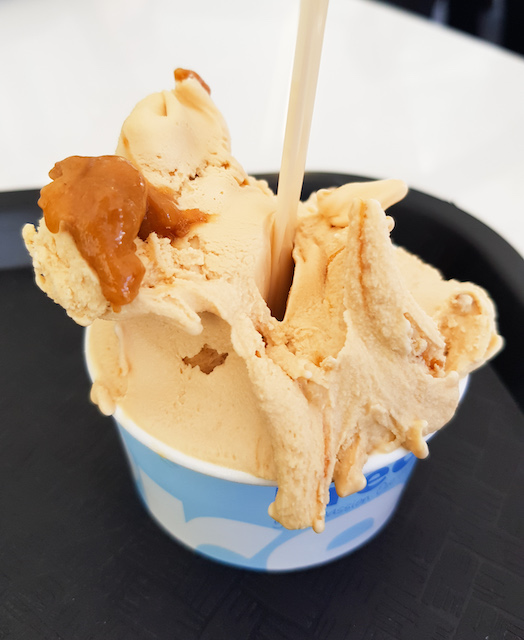 gelato-festival-america-20190316_130416.jpg