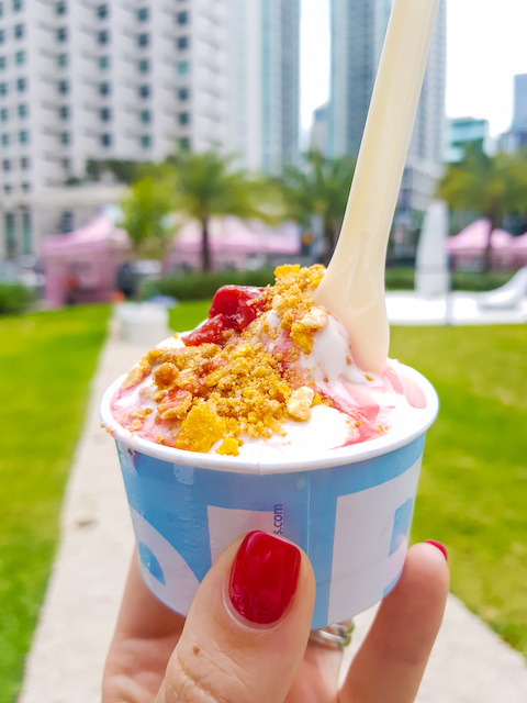 gelato-festival-america-20190316_134553.jpg