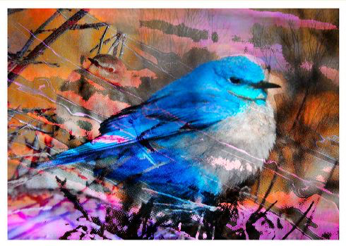 digital-art---lisa-wray-44F870FF-701C-4C41-B880-4BDE8AB3F166-2922-000004F656A903B7.png