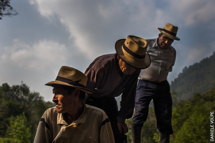 world-press-photo-2020---images-092_Online_Daniele_Volpe.jpg