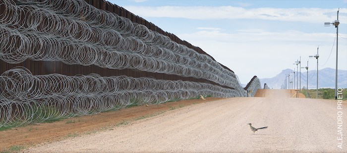 world-press-photo-2020---images-100_Online_Alejandro_Prieto.jpg