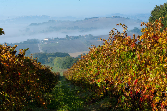 region-of-marche---italy-Region_of_Marche_-_Italy_(5).jpg