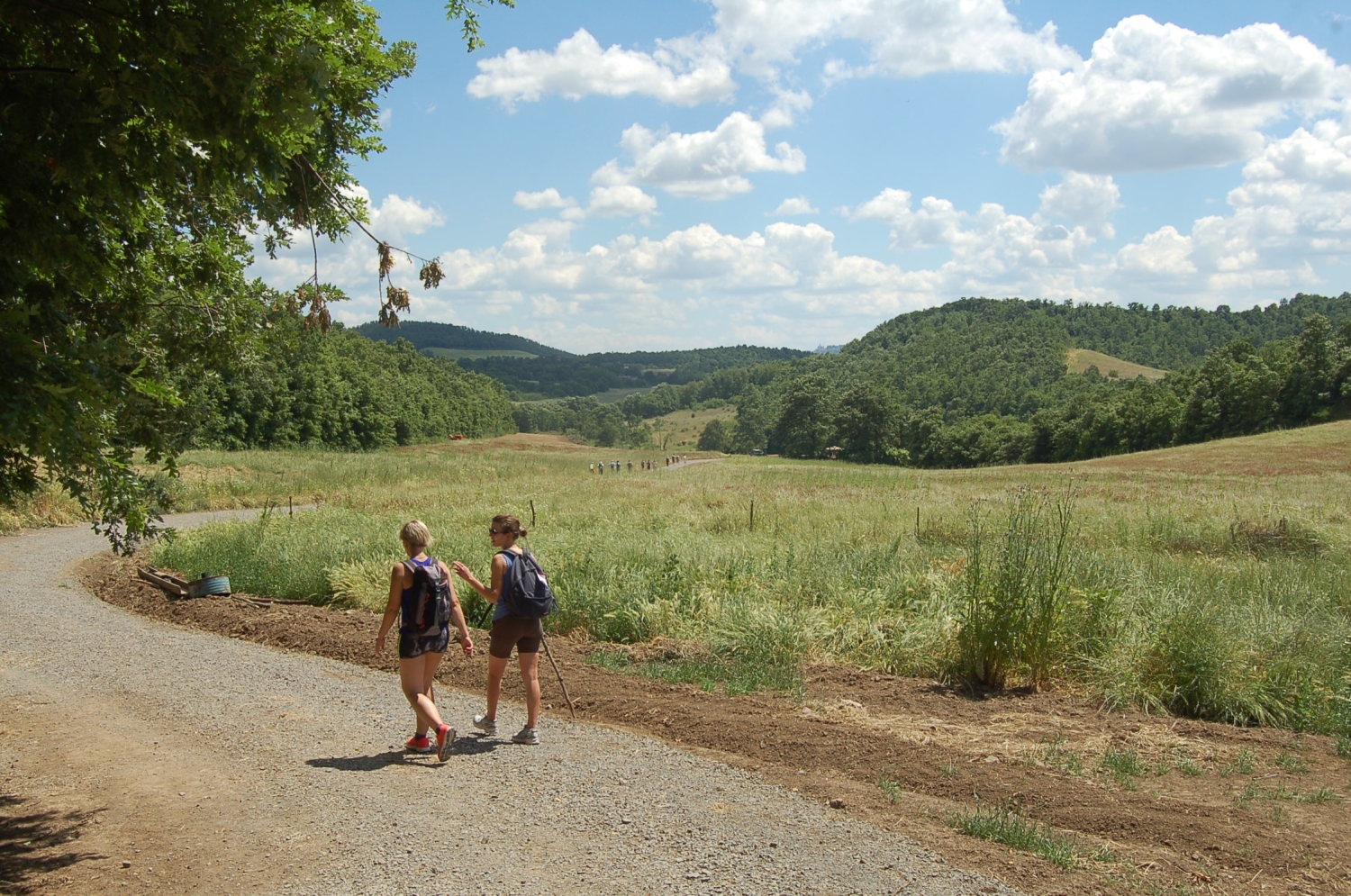 via-francigena-in-france-and-italy---images-Via_Francigena_in_France_and_Italy_-_images_(1).jpg