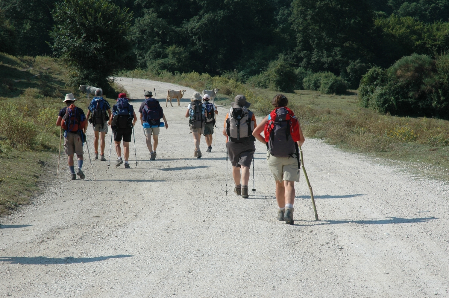 via-francigena-in-france-and-italy---images-Via_Francigena_in_France_and_Italy_-_images_(2).jpg