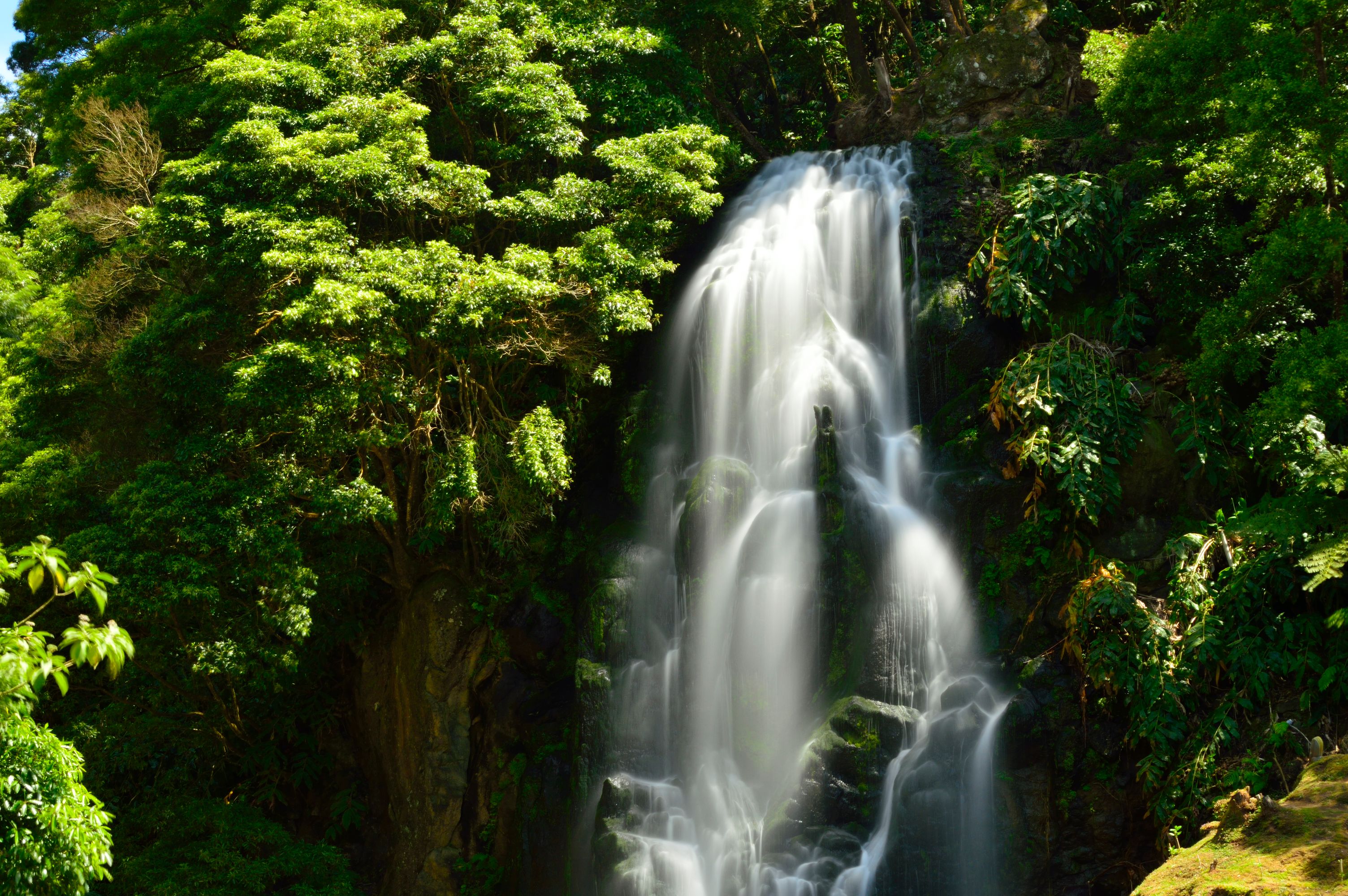 azorean-islands---images-São_Miguel.jpg