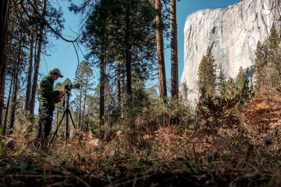 yosemite-national-park---images-Yosemite_National_Park_-_images_(7)xxx.jpg