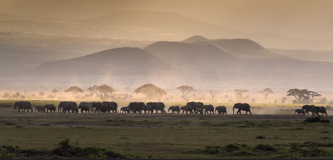 amboseli-national-park---kenya---images-Amboseli-national-park-safari.jpg