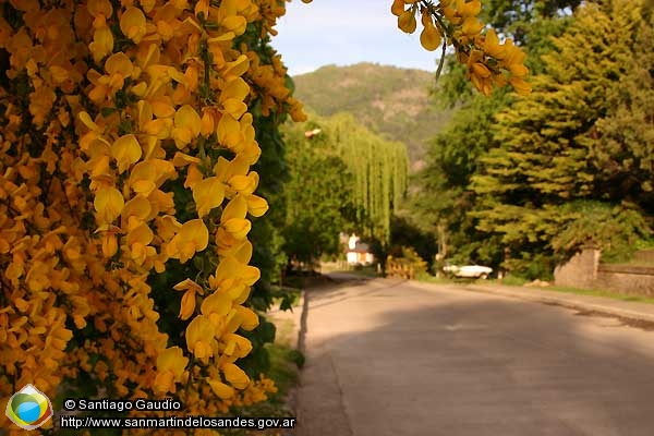 argentina---lanín-national-park---san-martin-de-los-andes---images-sg_primavera09.jpg