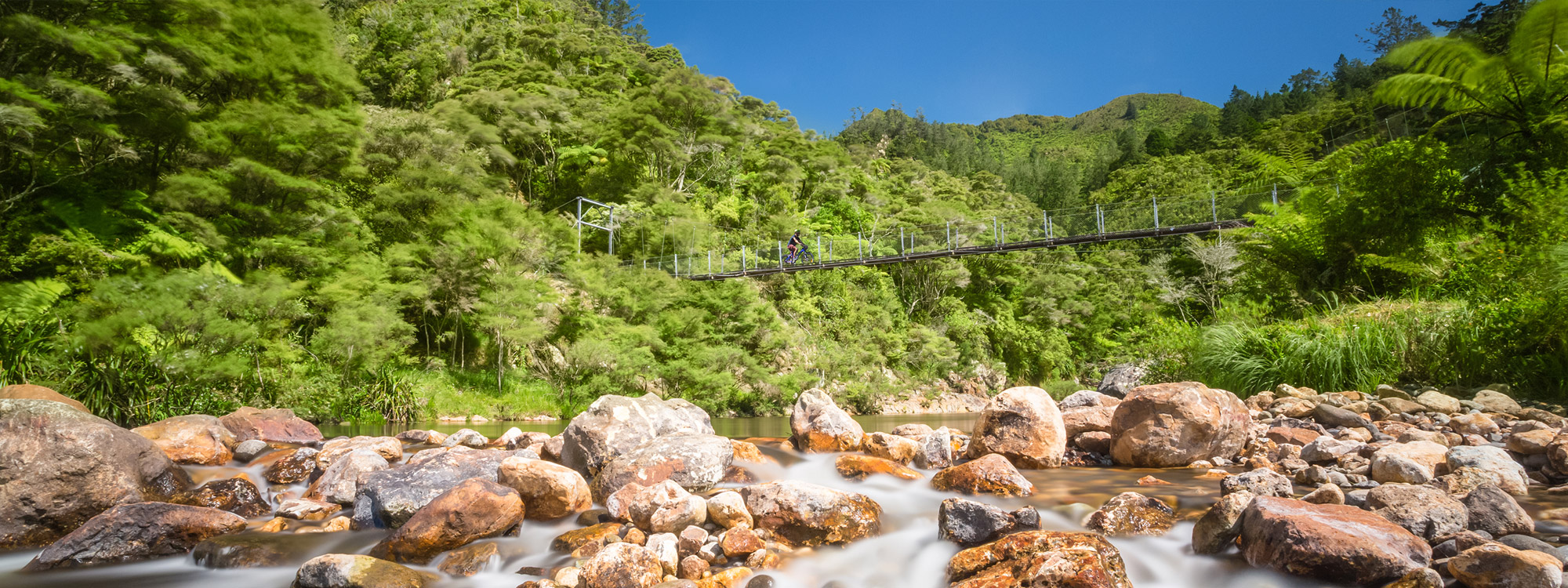 the-coromandel-peninsula---new-zealand---images-The_Coromandel_Peninsula_-_New_Zealand_-_images_(10).jpg