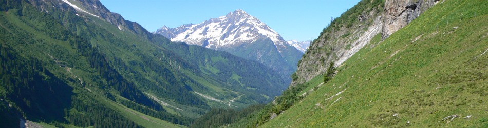 the-maderanertal---alpine-valley--in-switzerland-The_Maderanertal_is_an_Alpine_valley_of_the_canton_of_Uri_in_Central_Switzerland._I_(1).jpg