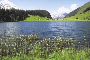 the-maderanertal---alpine-valley--in-switzerland-The_Maderanertal_is_an_Alpine_valley_of_the_canton_of_Uri_in_Central_Switzerland._I_(11).jpg