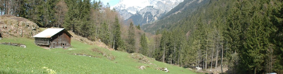 the-maderanertal---alpine-valley--in-switzerland-The_Maderanertal_is_an_Alpine_valley_of_the_canton_of_Uri_in_Central_Switzerland._I_(8).jpg