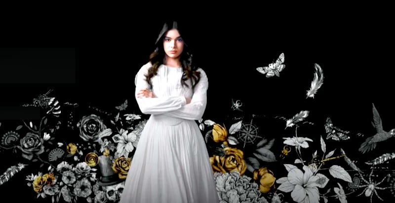 tv-series-dickinson-season-3-dickinson_stagione_3.jpg