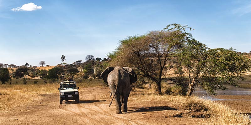 the-serengeti-national-park---tanzanian---images-serengeti-national-park-conservation.jpg