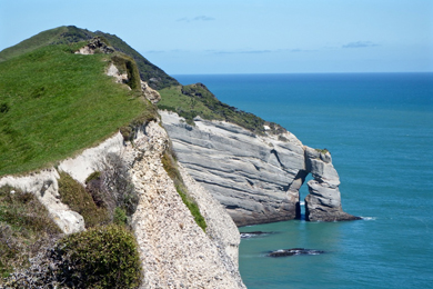 Farewell Spit and Puponga Farm Park -  South Island - images