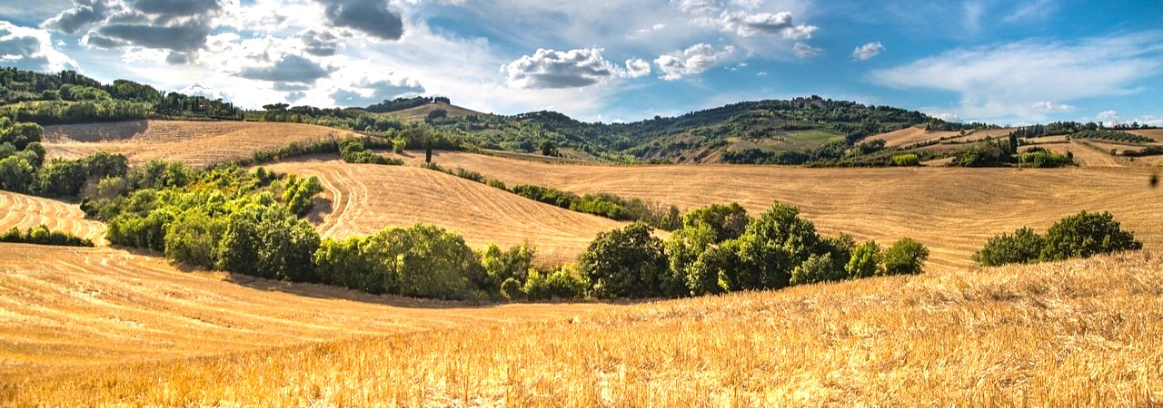 Family photographic sessions in Tuscany