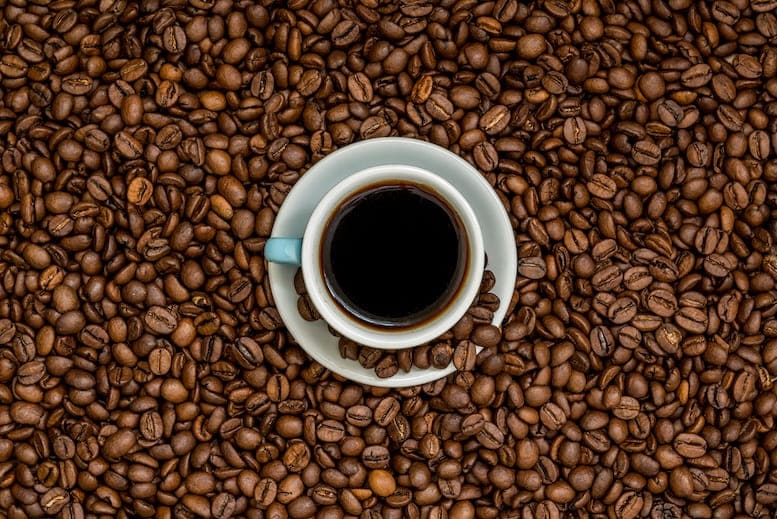 Domestic espresso coffee machine: how it works and the different types