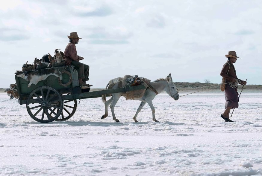 Gabriel García Márquez and Cinema: From Screenplays to the Cuban School